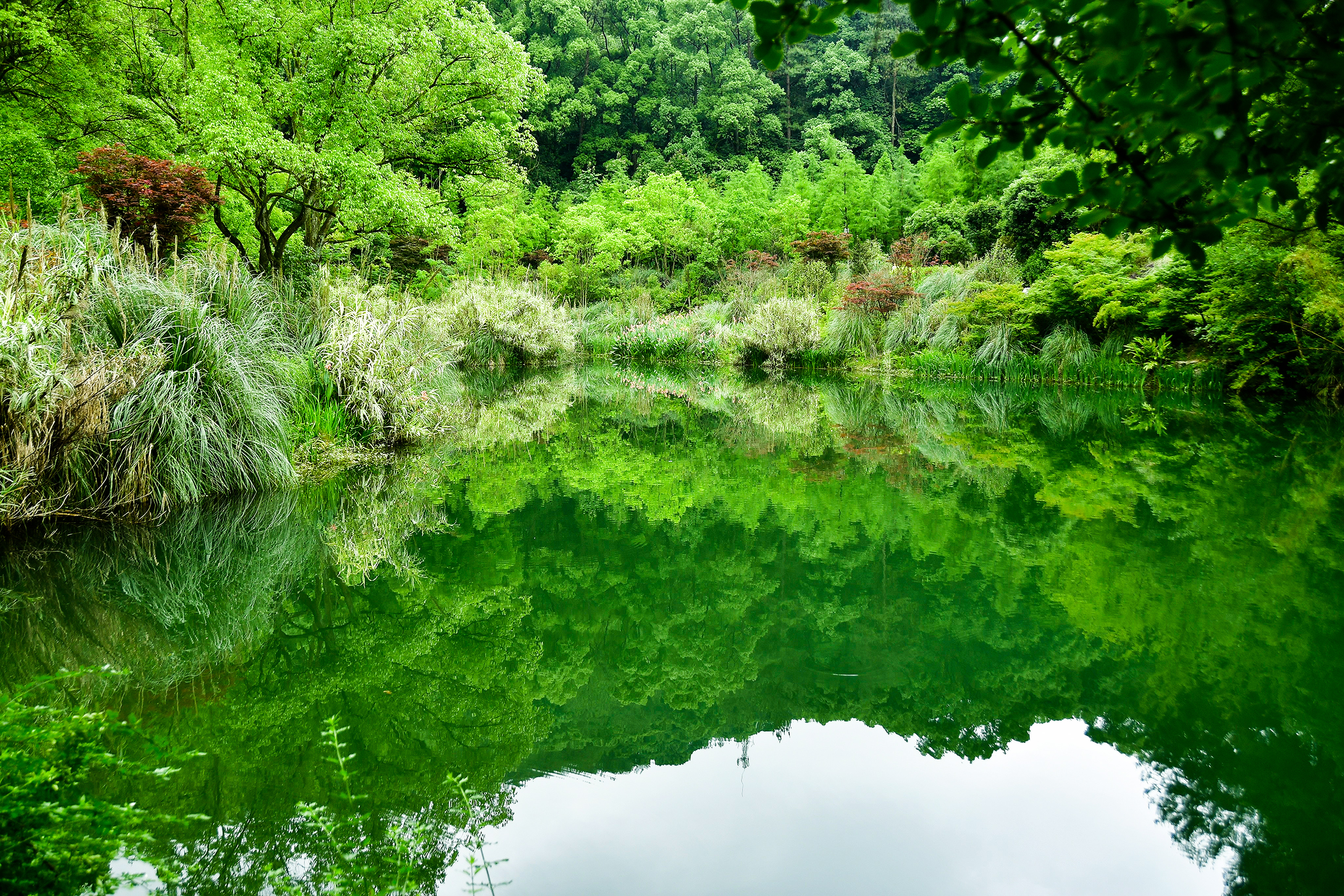 今天去了北碚缙云山上的黛湖,虽然面积不大,但还是挺漂亮的,碧波荡漾