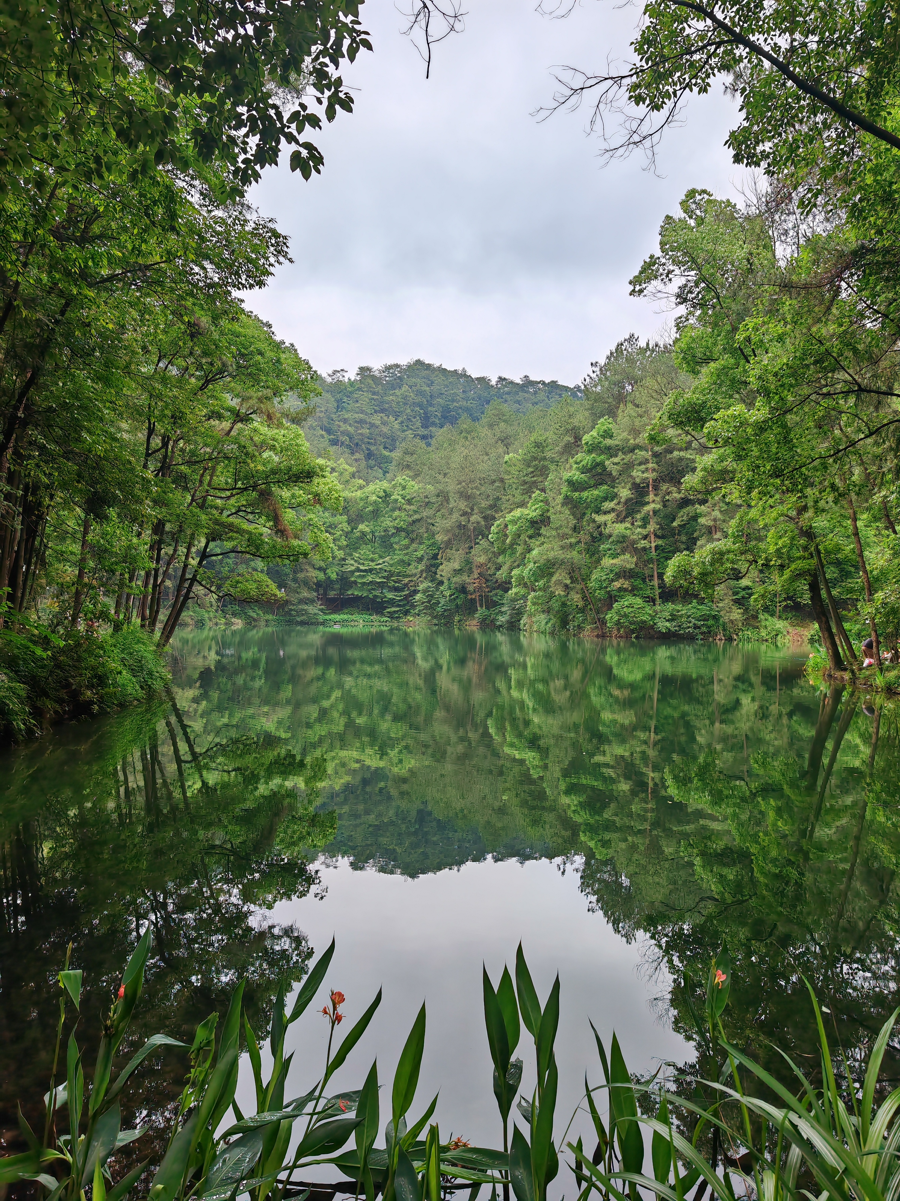今天去了北碚缙云山上的黛湖,虽然面积不大,但还是挺漂亮的,碧波荡漾