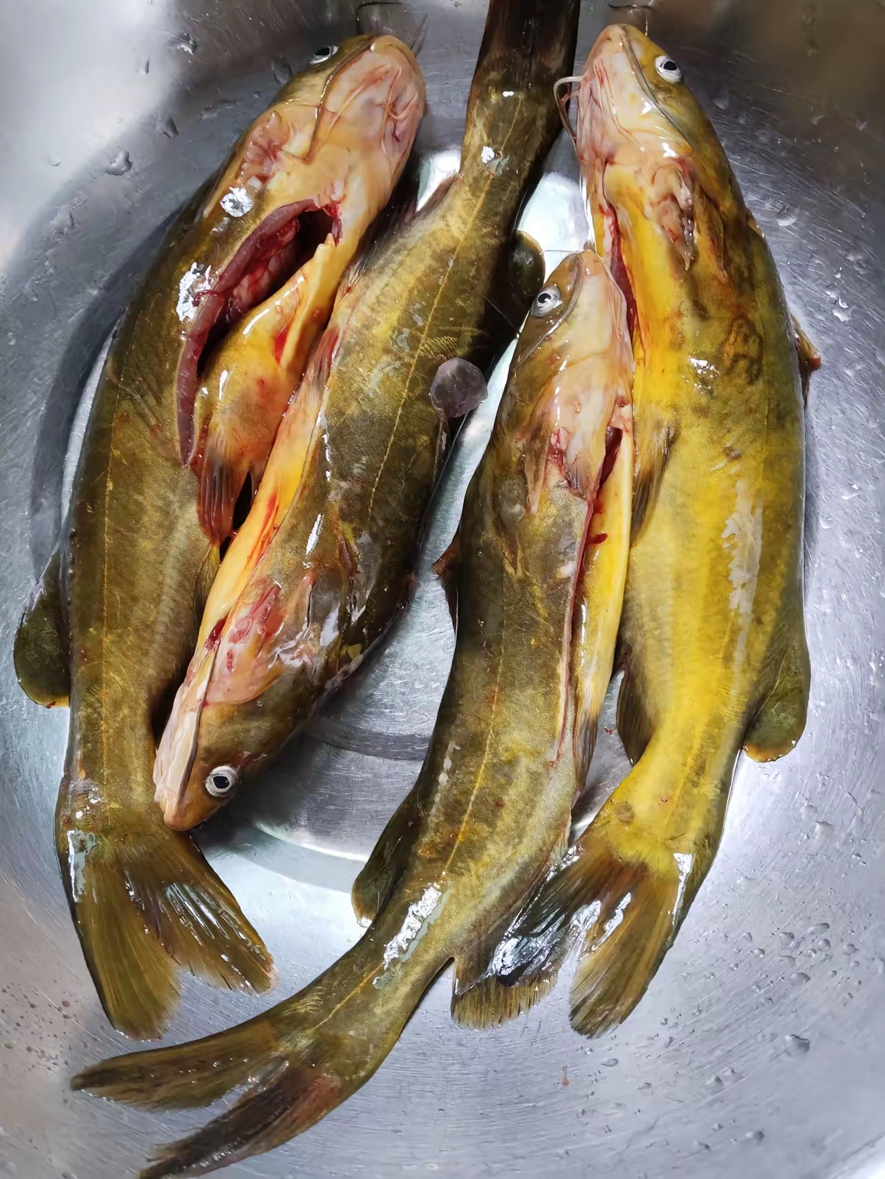 菜贩子只剩4条,全买了,居然要18元,20一斤,算上