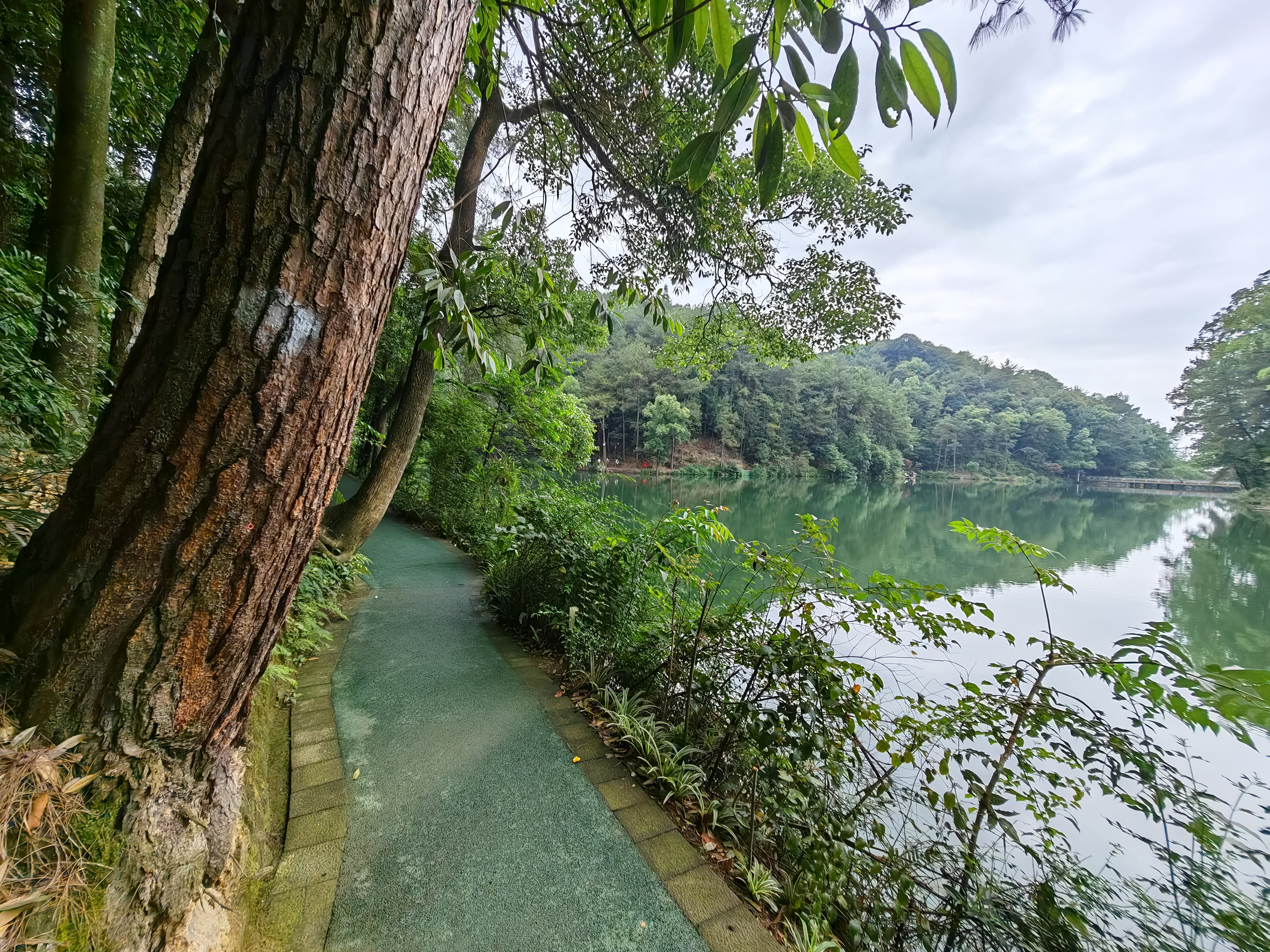 今天去了北碚缙云山上的黛湖,虽然面积不大,但还是挺漂亮的,碧波荡漾