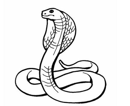 毒蛇怎么画一步一步图片