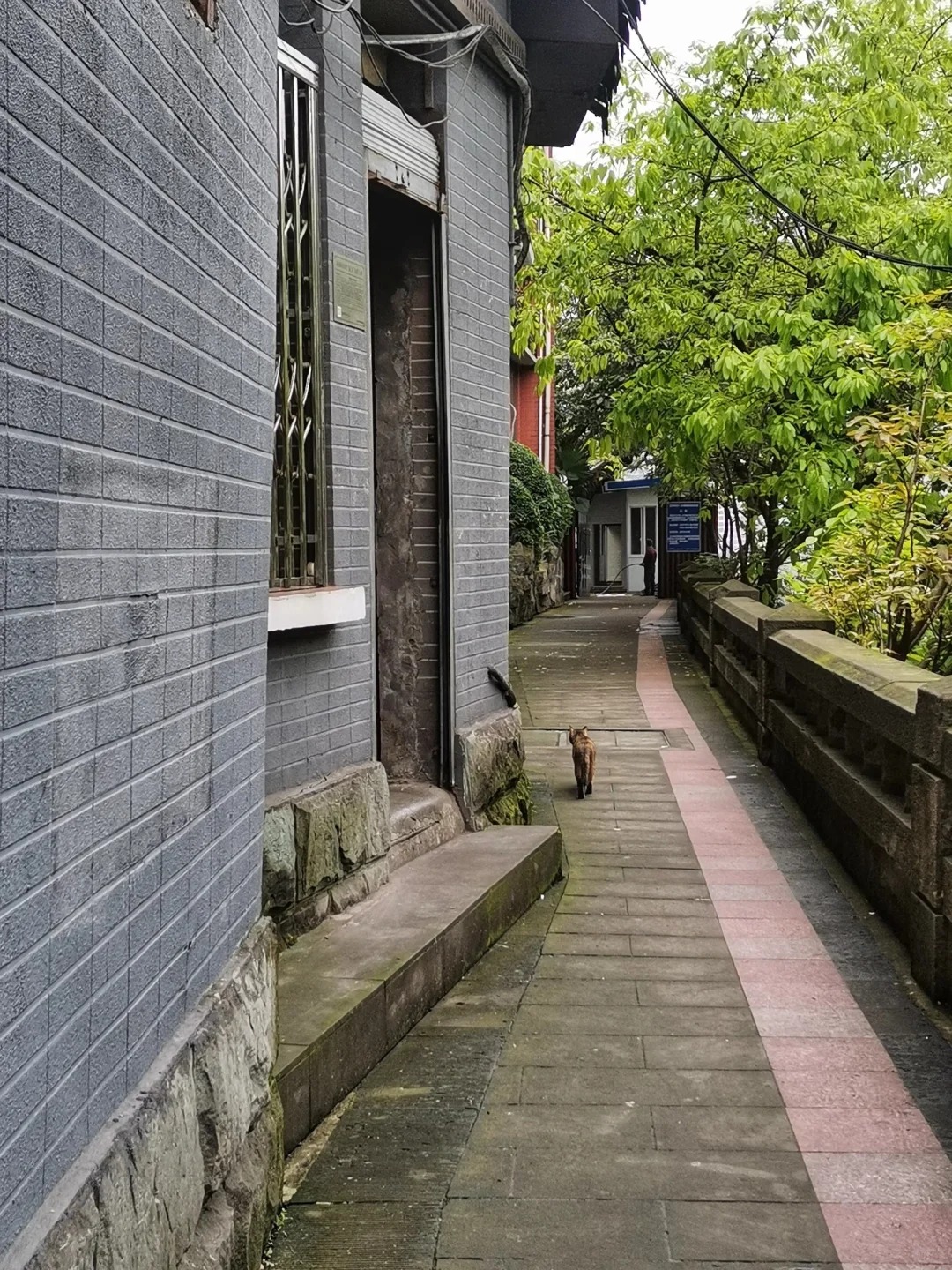 这些极少有人知道的重庆冷门小众景点,快点进来看看你去过几个呢