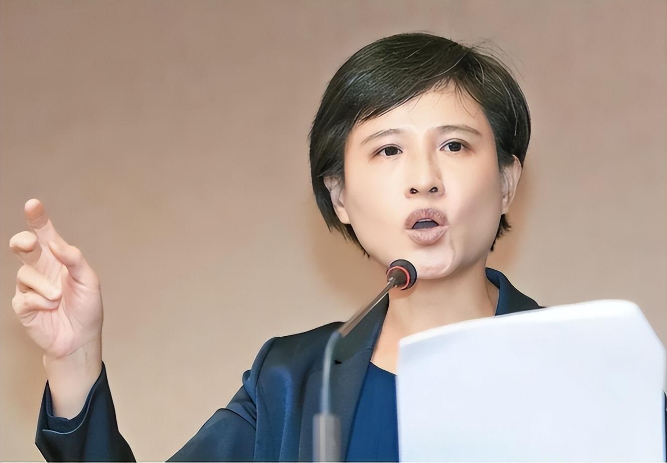 郑丽君:称台湾永远都不会是中国的一部分,被明星唾骂,扇耳光