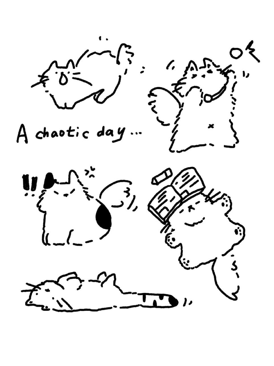 简笔画打卡16/100|炸毛猫咪 很炸毛的一天 版权所有|不可自印,商用