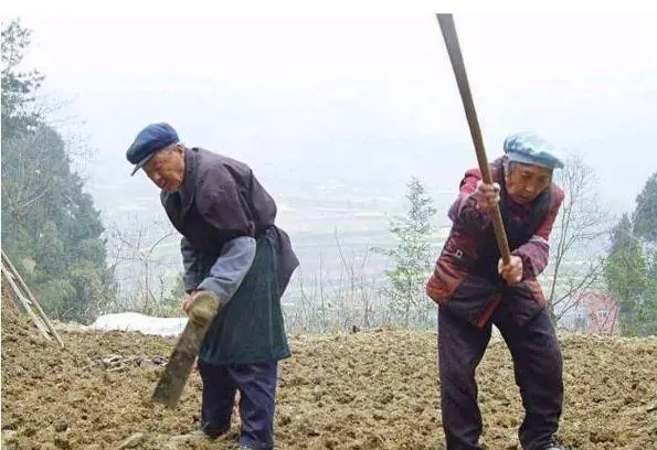 平时回家看待在老家的年轻人大部分时间是在村头打牌