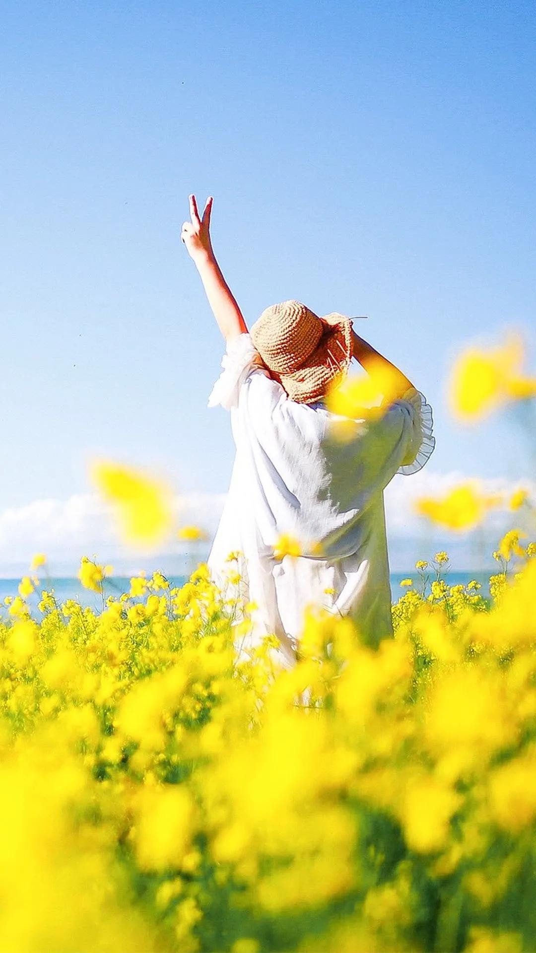 面朝大海,春花开!