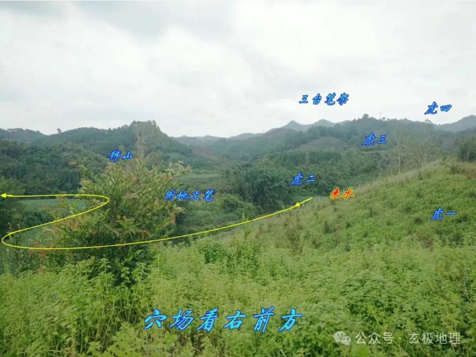 风水宝地:飞凤衔书——王鸿升