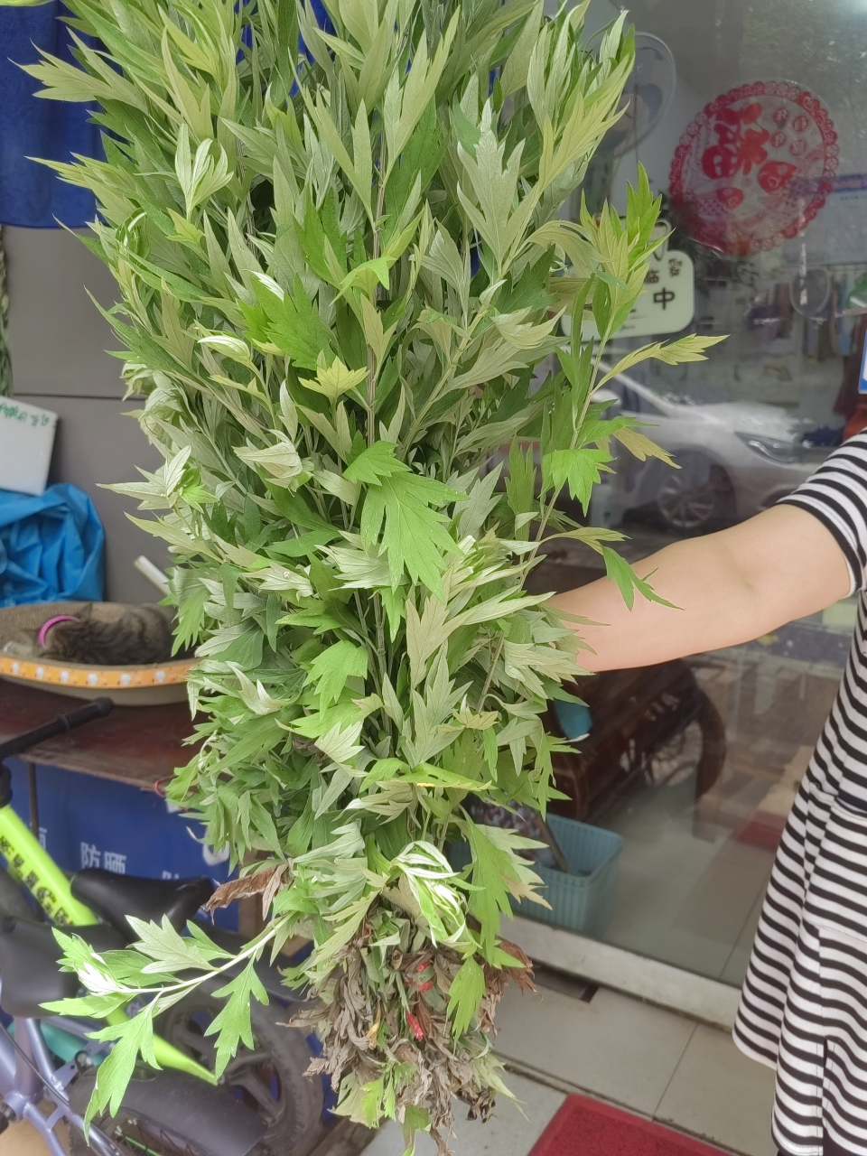 端午节门口挂艾草,一般挂几根,是挂单数还是挂双数  1.