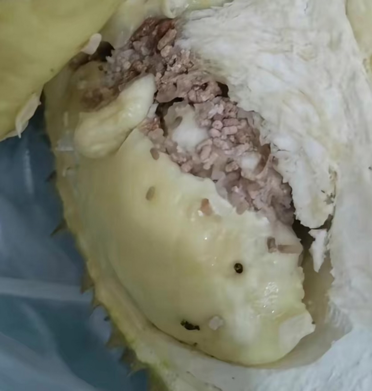 花了一百八买的榴莲,结果全是坏的