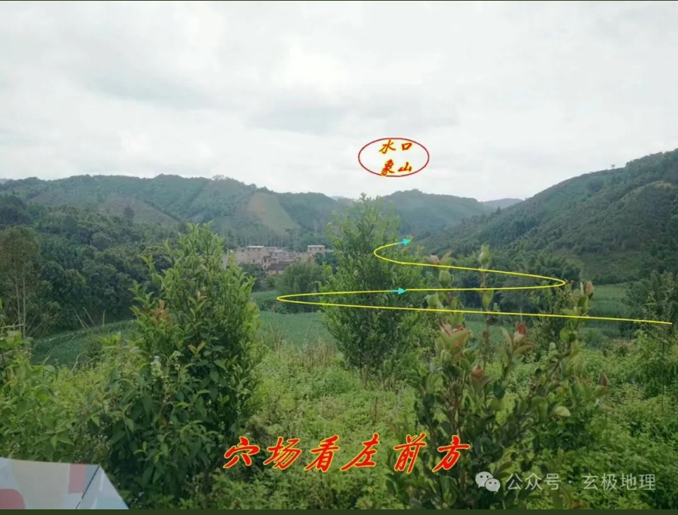 风水宝地:飞凤衔书——王鸿升