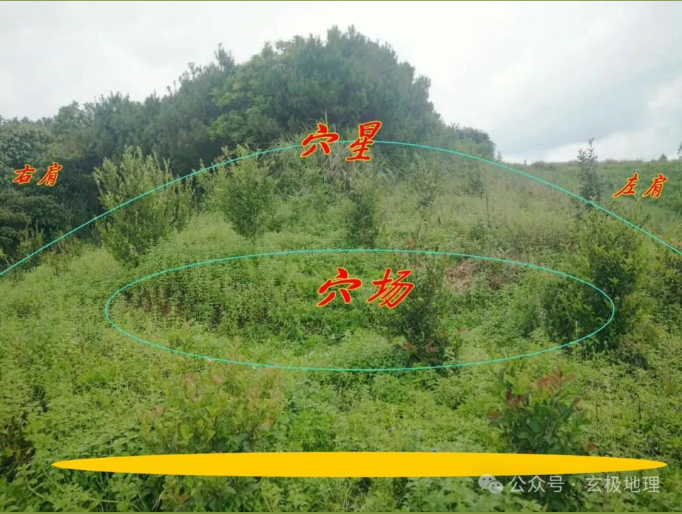 风水宝地:飞凤衔书——王鸿升