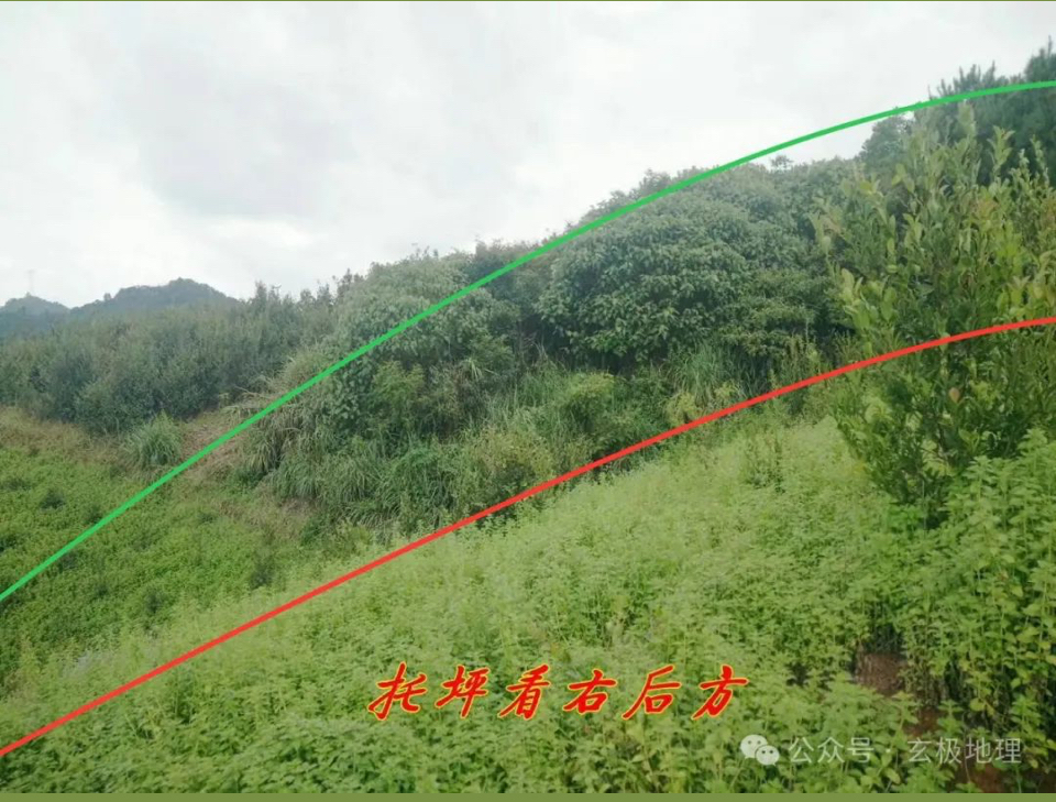 风水宝地:飞凤衔书——王鸿升