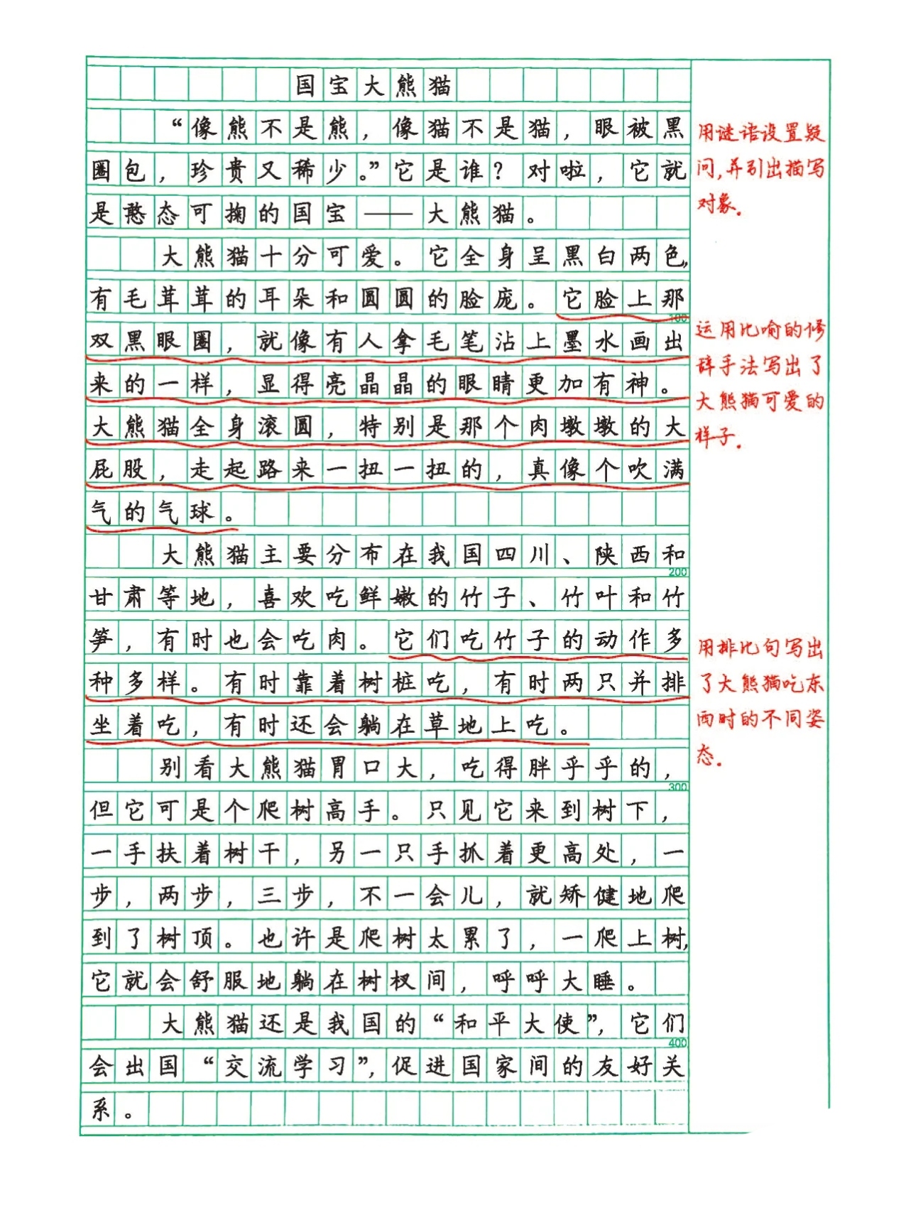 国宝大熊猫作文 范文图片