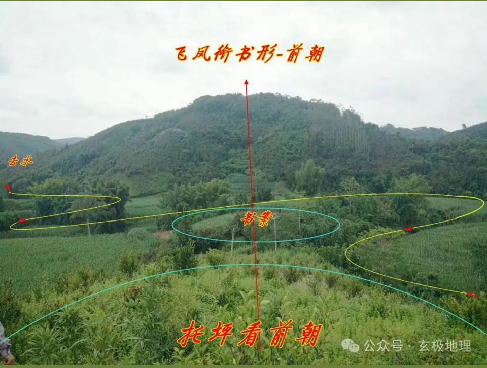 风水宝地:飞凤衔书——王鸿升