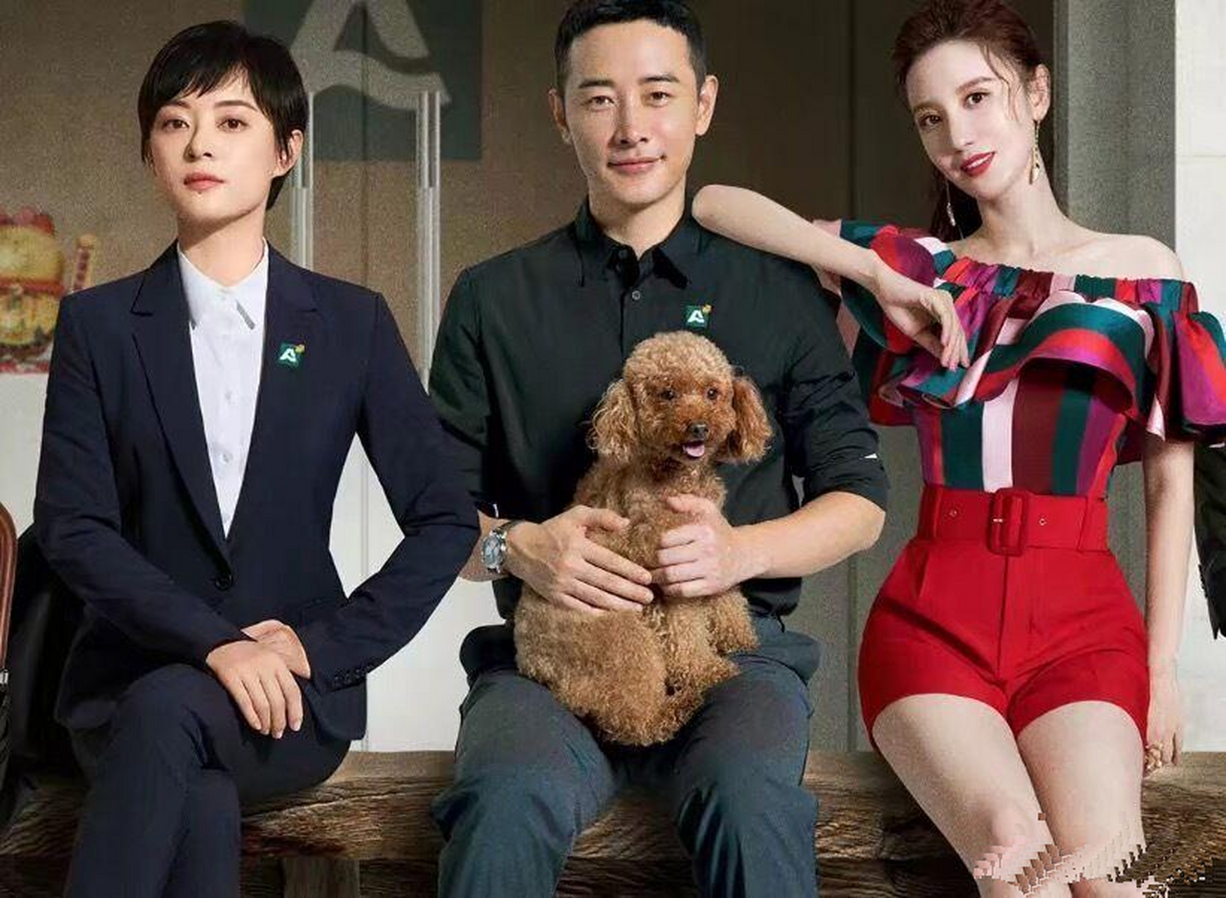 孙俪与罗晋主演的新剧《安家》最近播出,该剧从《卖房子的女人》改名