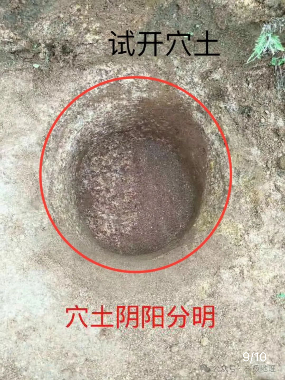 风水宝地:飞凤衔书——王鸿升