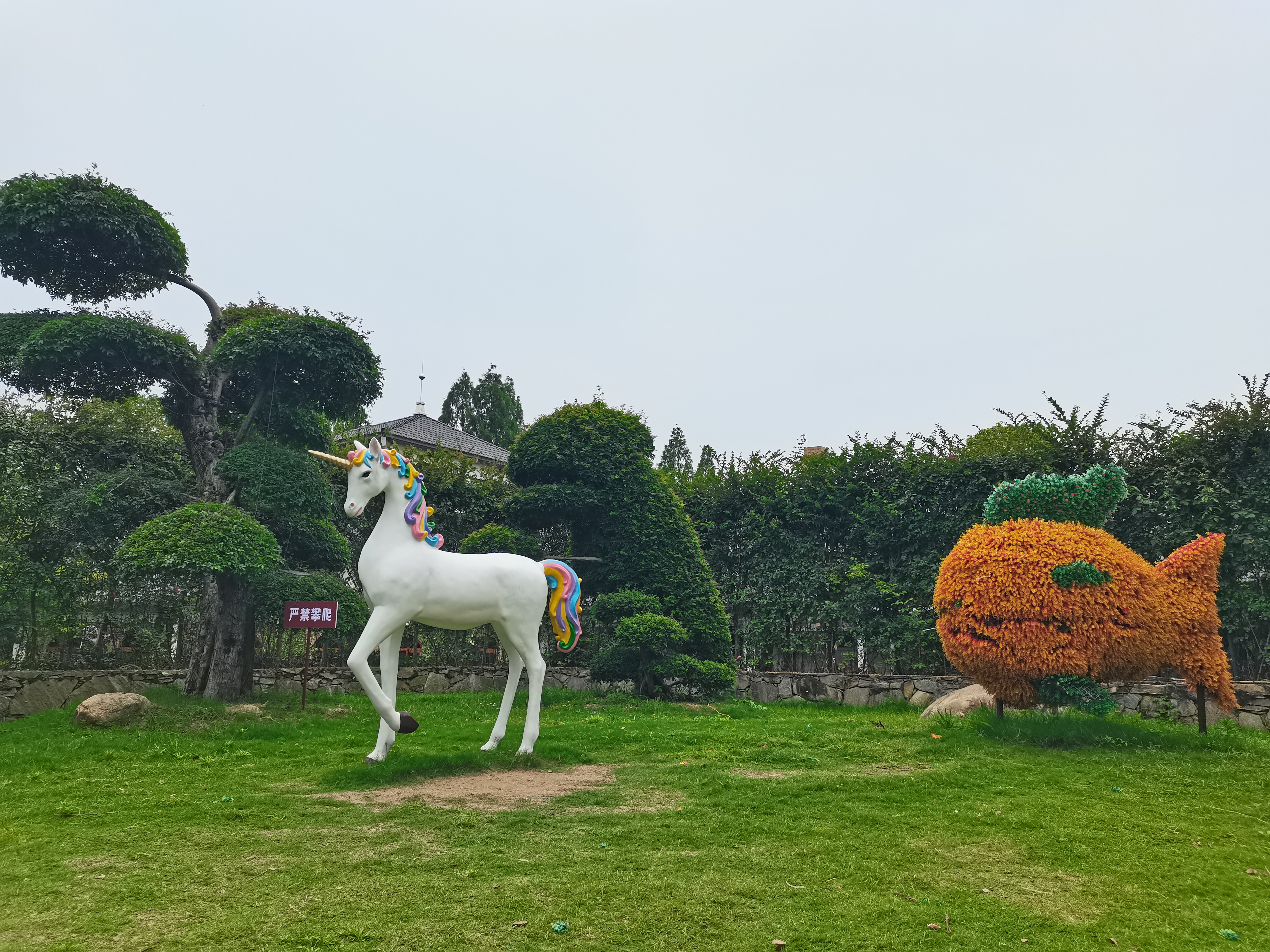 一年一度的端午佳节,祝愿所有的粉丝朋友们节日安康