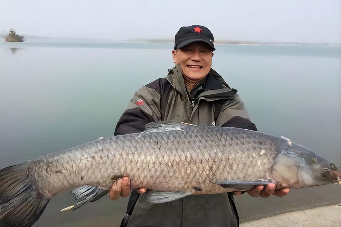 近些年来,越来越多的人们,发现了其它种类的淡水鱼,比青鱼更好饲养