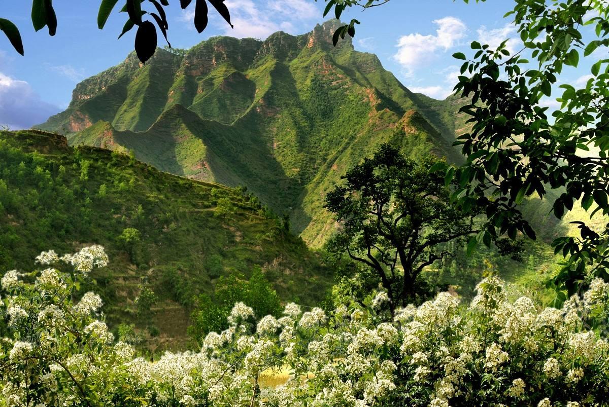 康县阳坝生态旅游风景区,甘肃的"西双版纳",世界名茶之乡