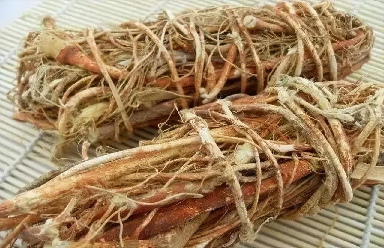 回顾开花形似"金银花",全株都有剧毒,方圆10米内植物都不能吃