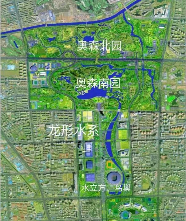 去奥森跑步的年轻人,被班味儿呛到