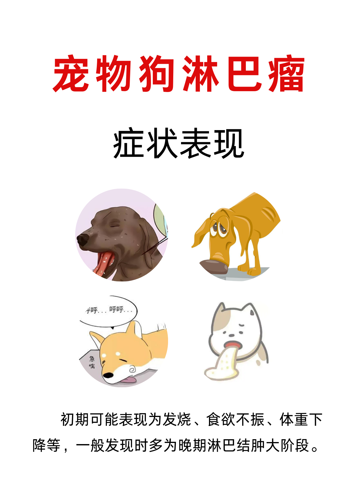 讲讲宠物狗淋巴瘤症状表现有哪些?