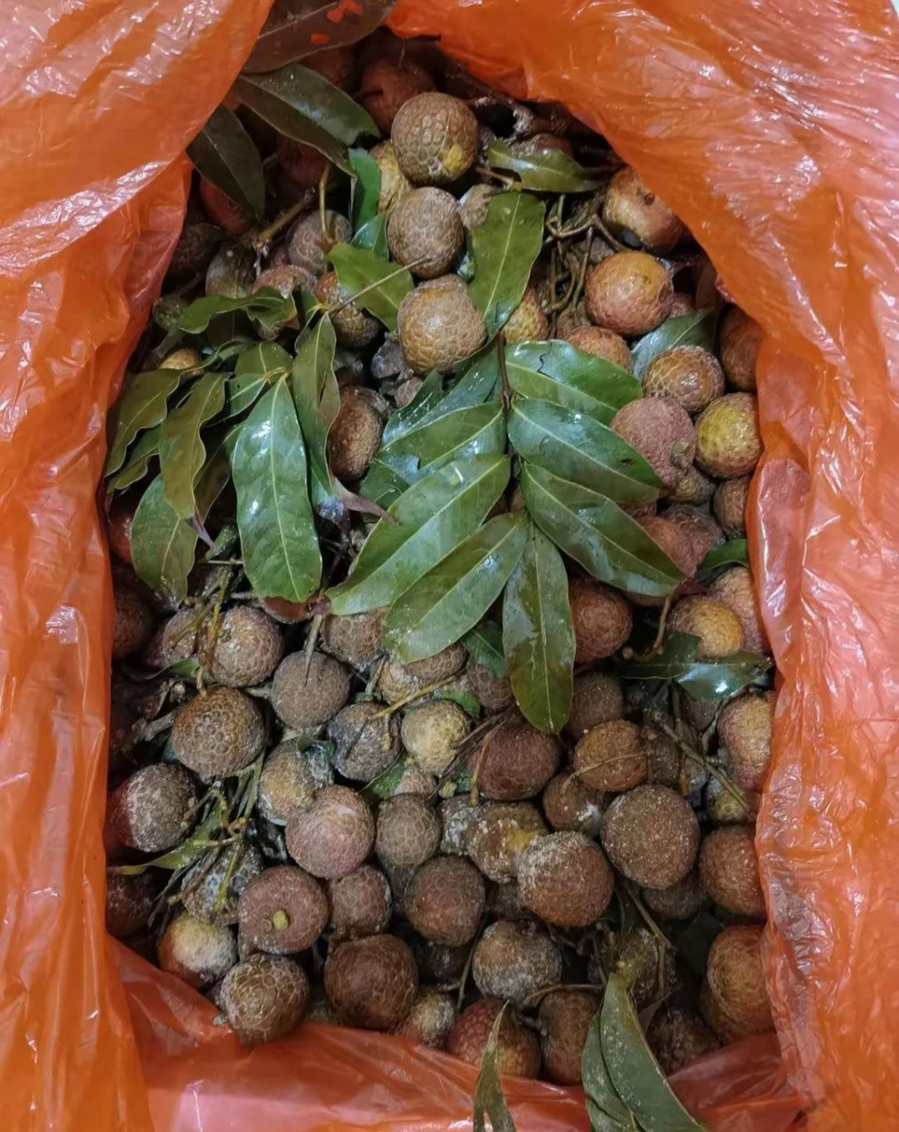 广西老表寄来的荔枝,快递到了我去拿货,打开一看里面全都坏了,这都不