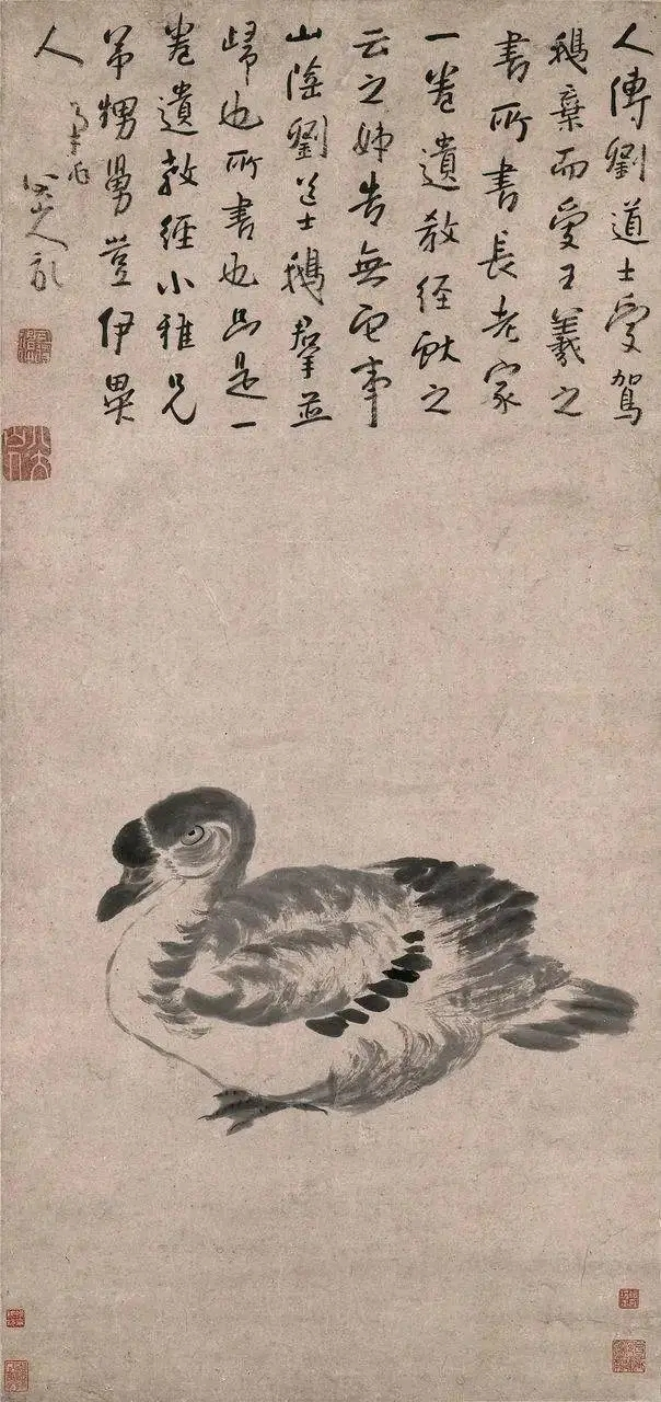 八大山人花鸟册,冷峻奔突,光彩照人!