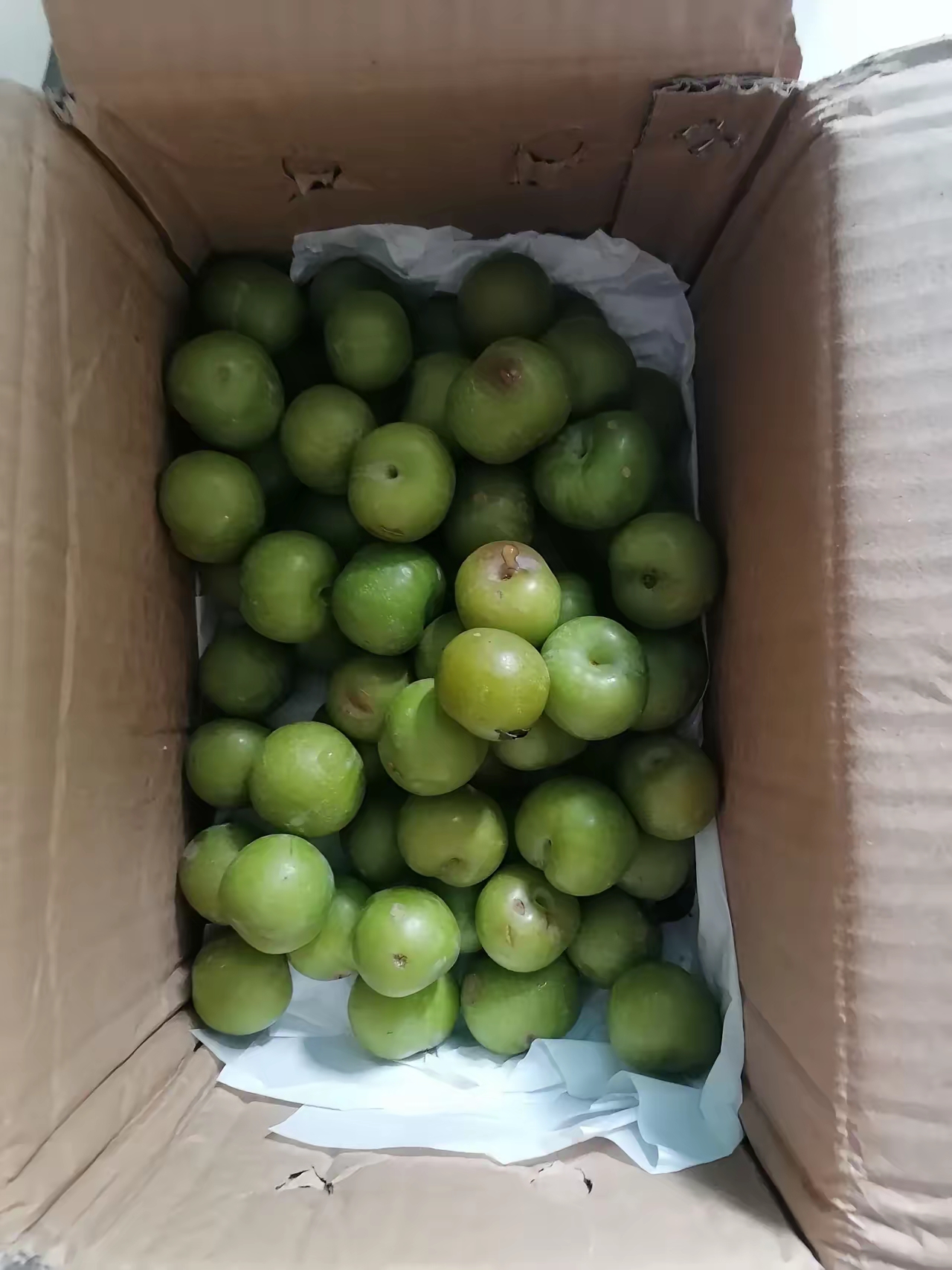 网上买的李子 今天收到快递,打开一看,全是这样的,又小还很多烂的,也