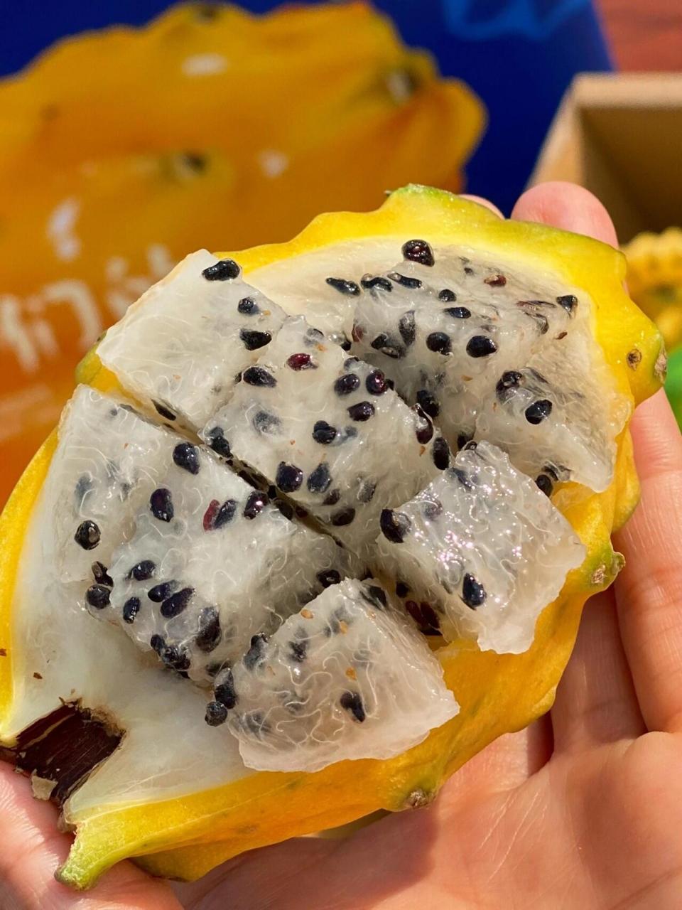 软糯香甜~|黄皮火龙果