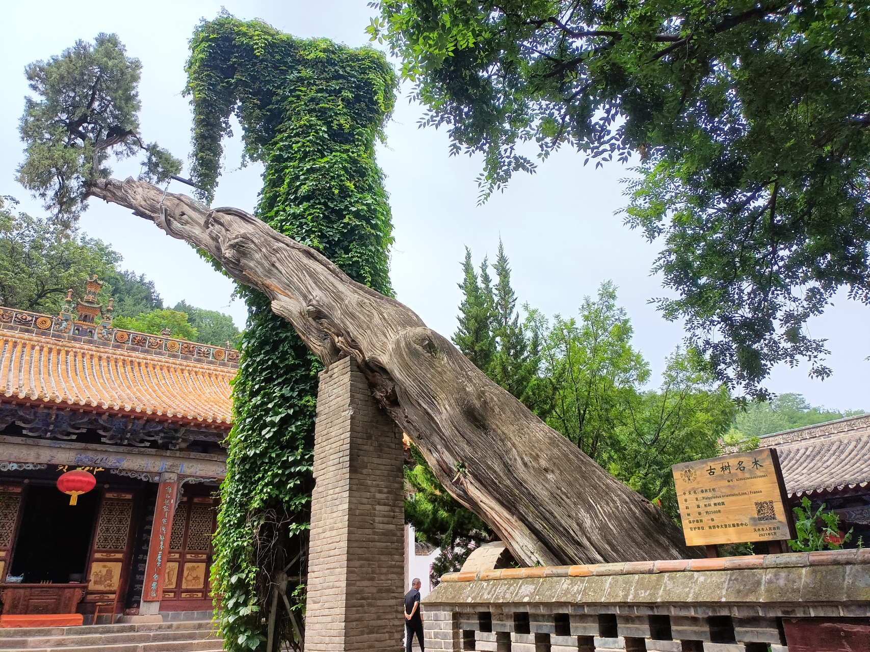 天水有一座古老的南郭寺