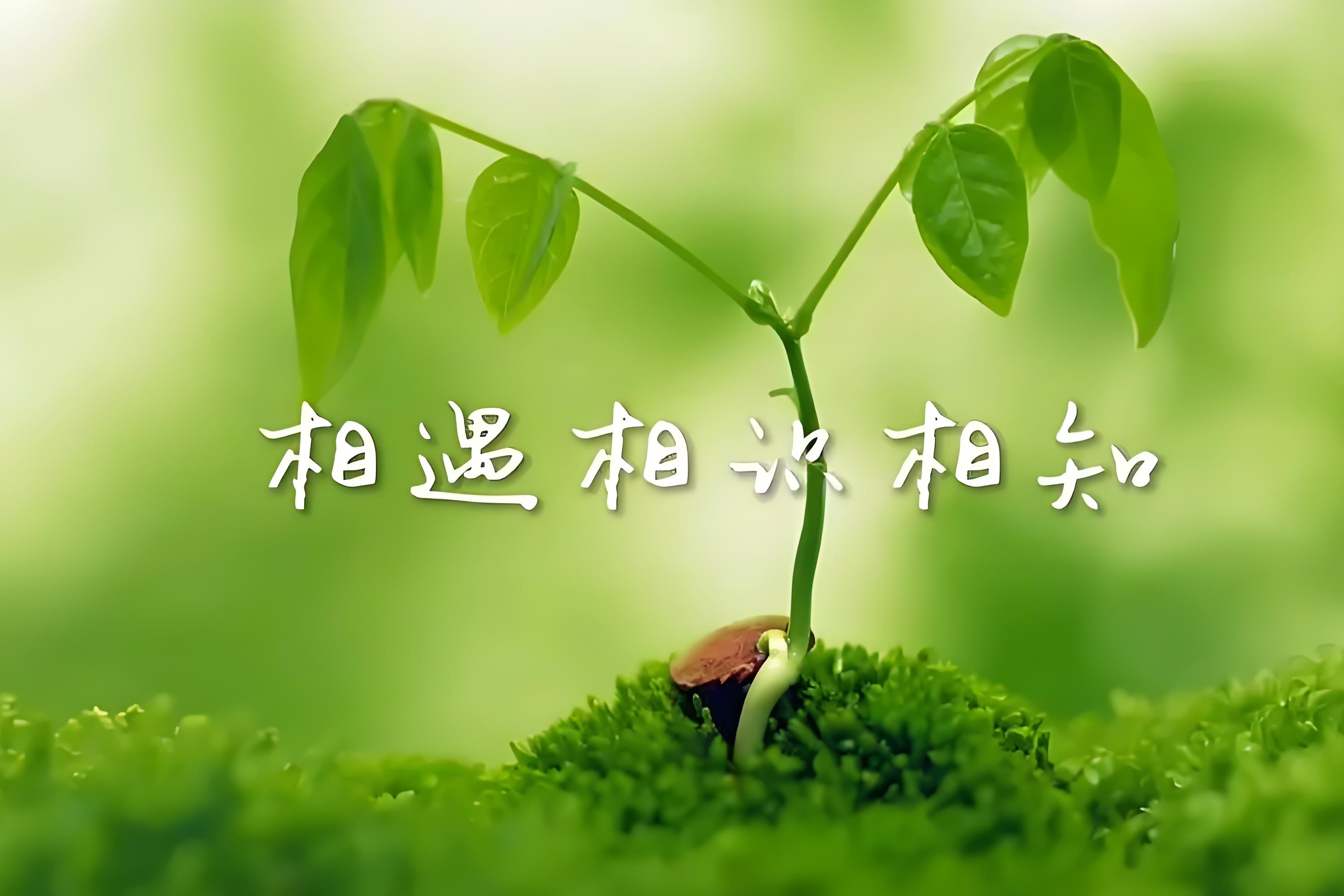 中篇连载：缘份（三）