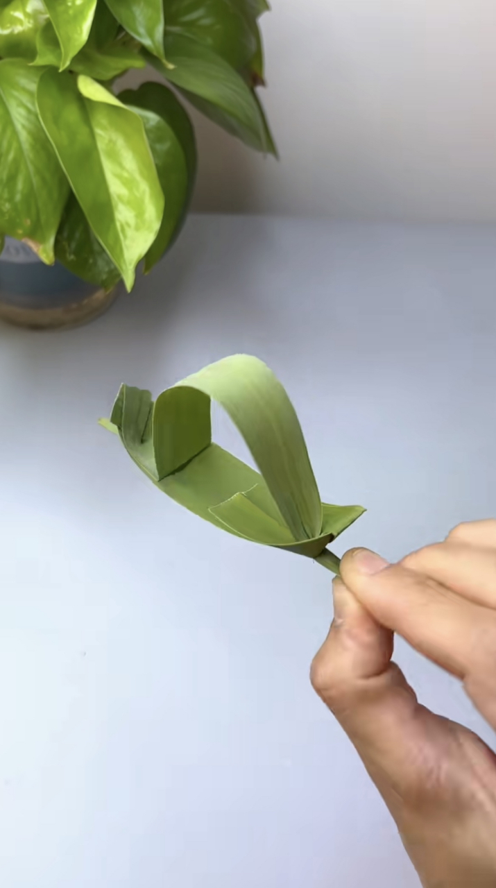 这芦苇小船可真精致.我们小时候都是用夹竹桃叶折的,是这个的简陋版.