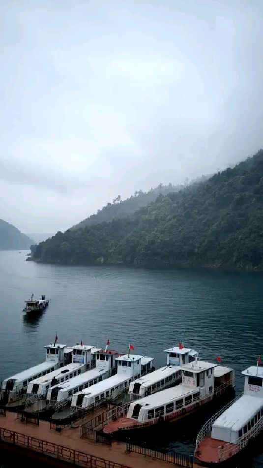 记录路上的风景#东江湖