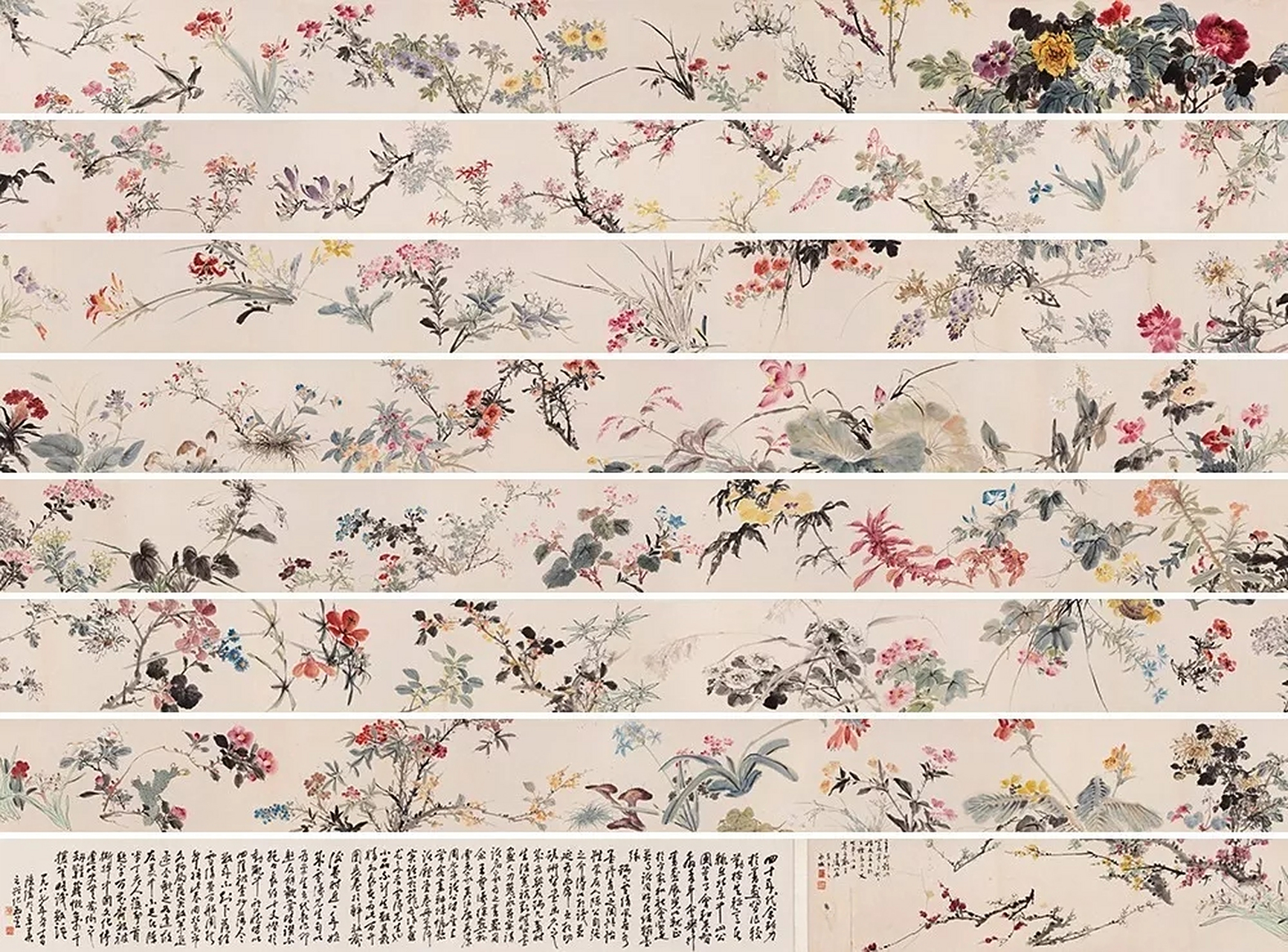 王雪涛百花图卷,美不胜收