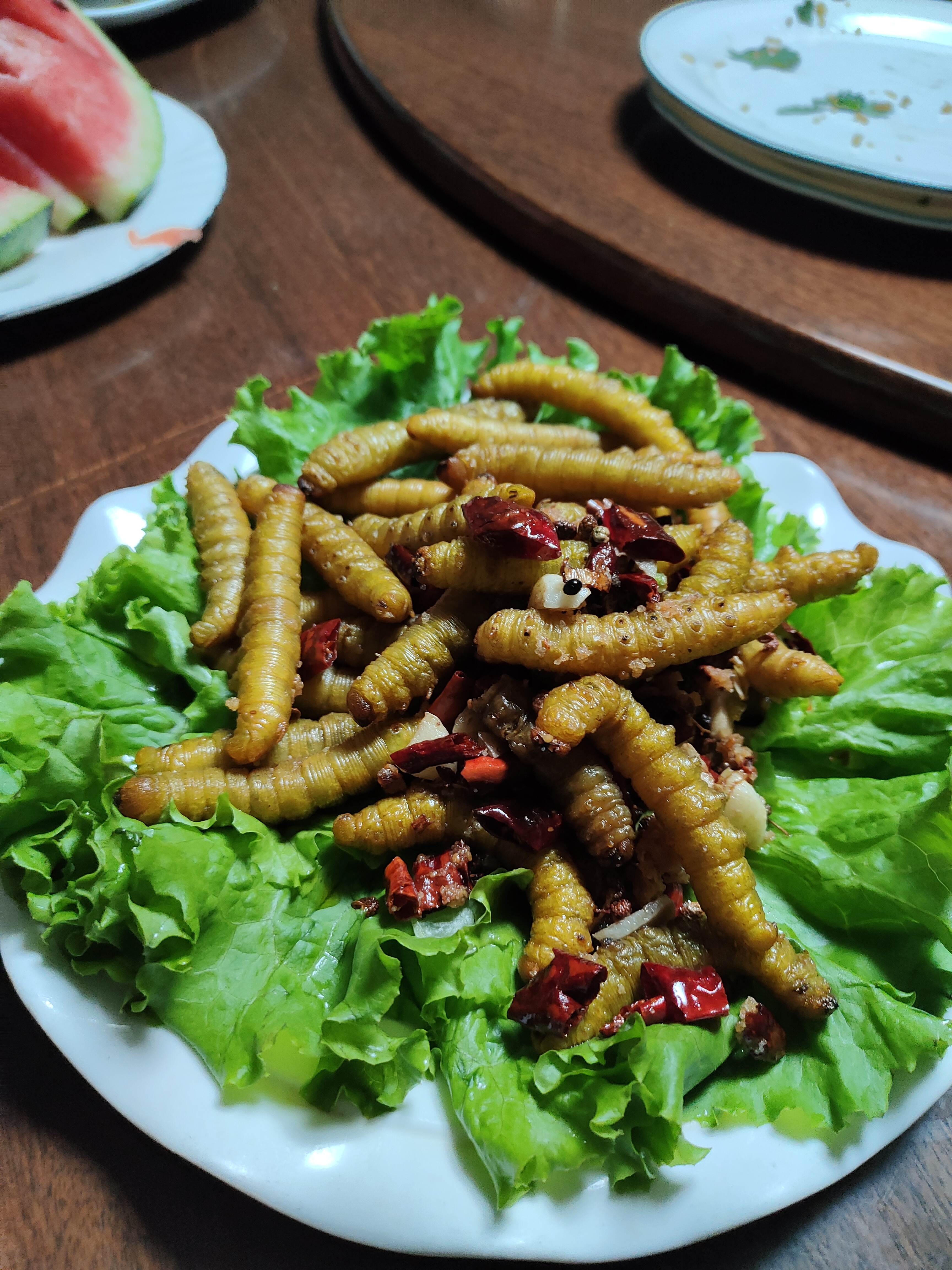 豆虫,又名豆丹,高蛋白低脂肪,富含七种人体无法合成的氨基酸