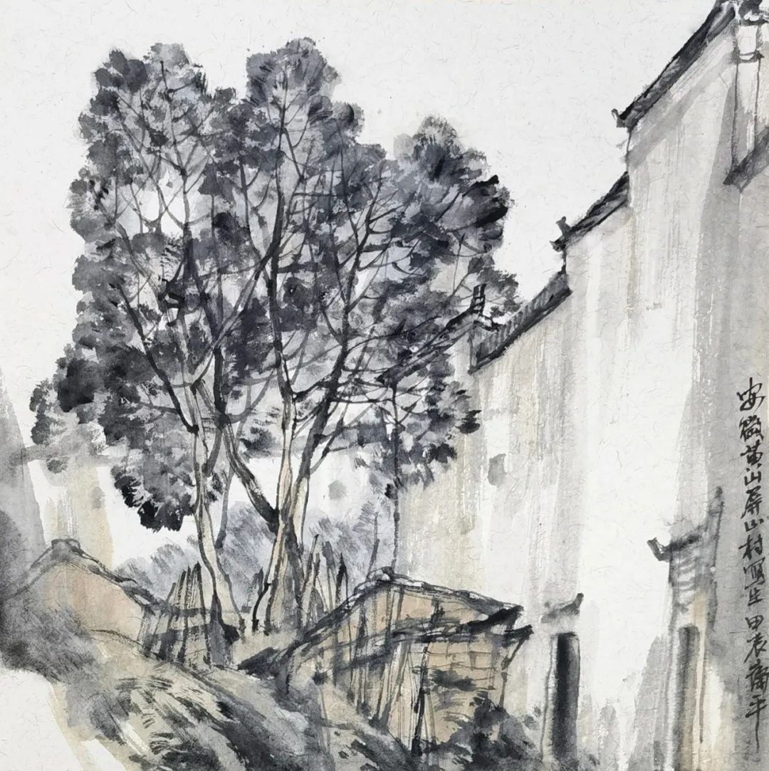 印象黄山|王卫平黄山写生记