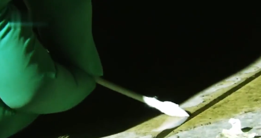 2015年,天津一家四口包馄饨吃,一夜过去3人殒命,警察差点中招