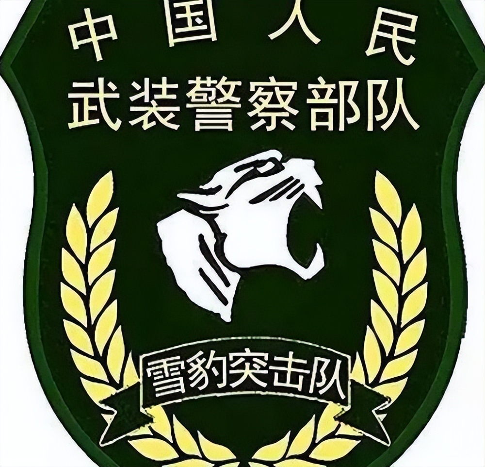 "雪豹突击队"陈玉浩:利刃出鞘获三次一等功,退役后享啥待遇