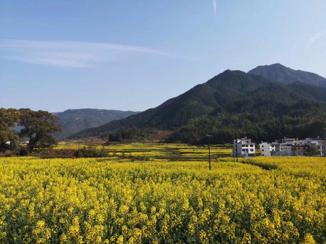 招远市毕郭镇大霞坞村图片