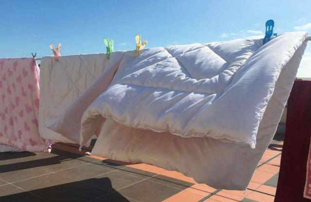 回顾:晒被子后有"太阳味",螨虫的尸体味?科学家称太阳的功劳