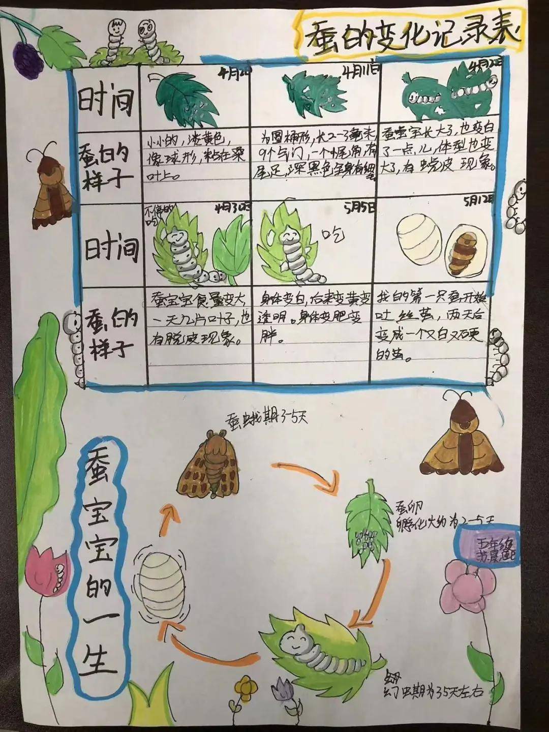 守护"天使" 感受生命破茧成蝶 崛起少年"守护天使"行动展示