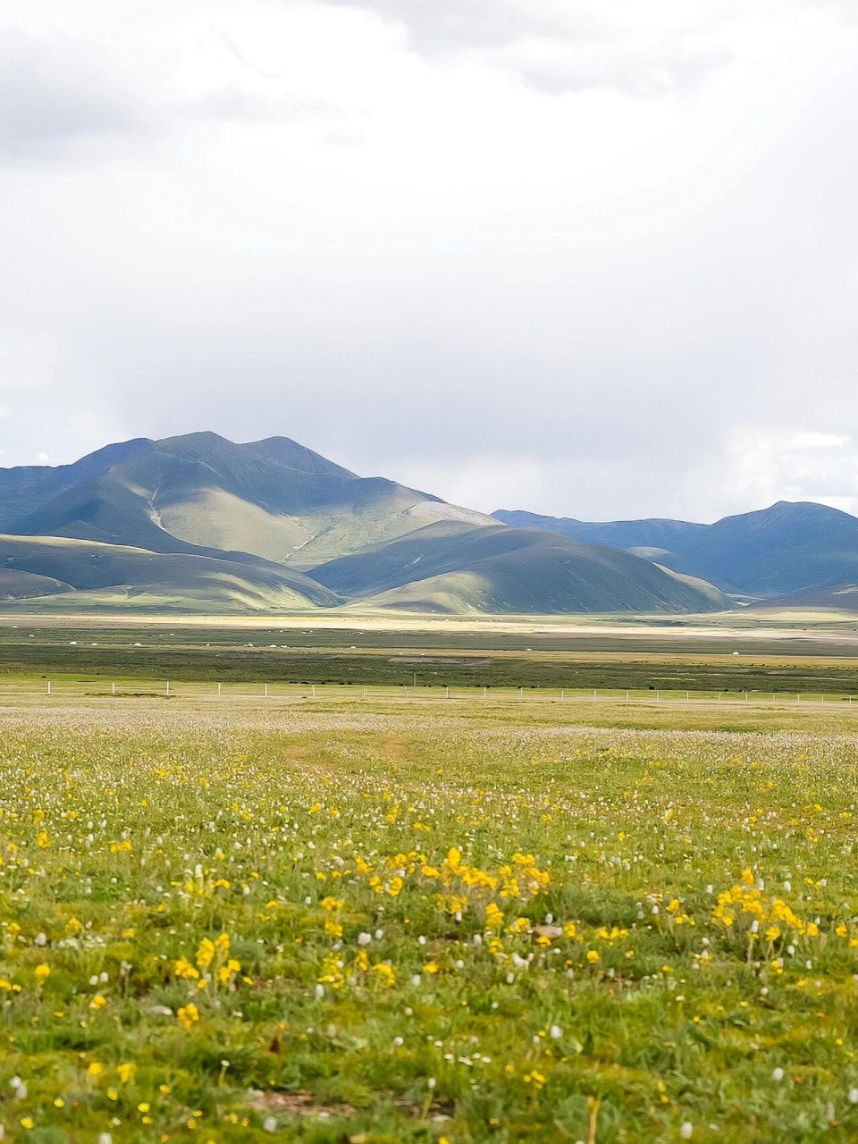 夏日休闲好去处——美丽的四川毛垭大草原  毛娅大草原是高山围绕的一