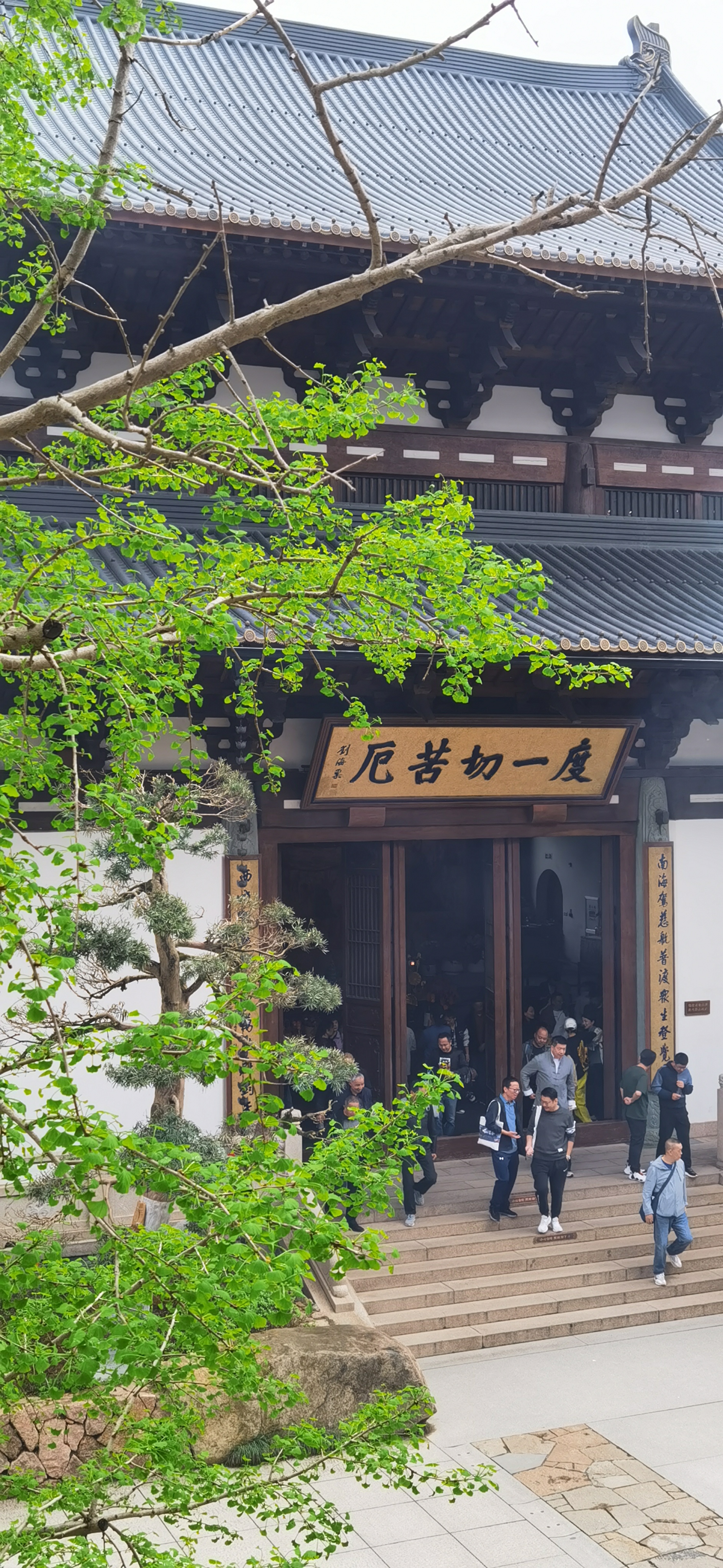 原来在寺庙和大家一起吃斋饭,是这种感觉[嘻嘻]一两