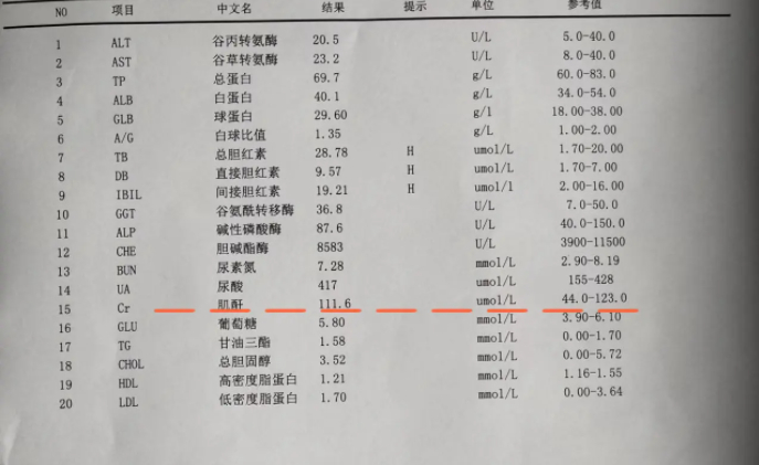 血肌酐正常值是多少图片