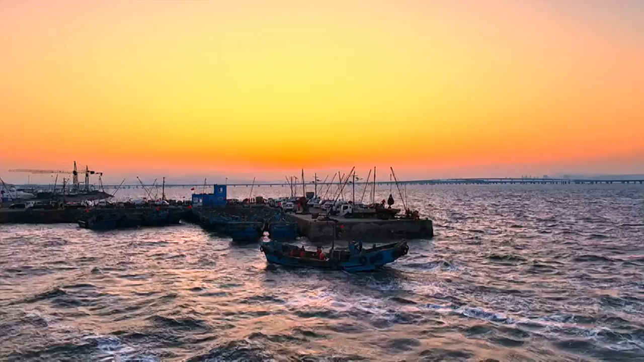青岛市城阳区:红岛蛤蜊节上体验赶海野趣