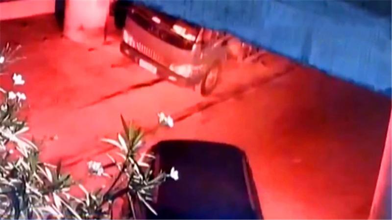 19年上海黑狗咬人后离奇失踪,主人表情诡异,警方调查发现不简单