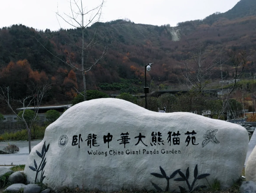 四川卧龙景区旅游攻略图片