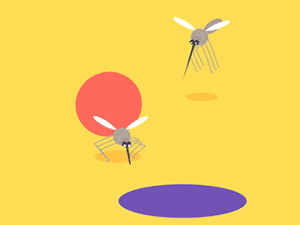 回顾:蚊子在地球上有什么用?如果全灭绝,会有何等严重的后果?