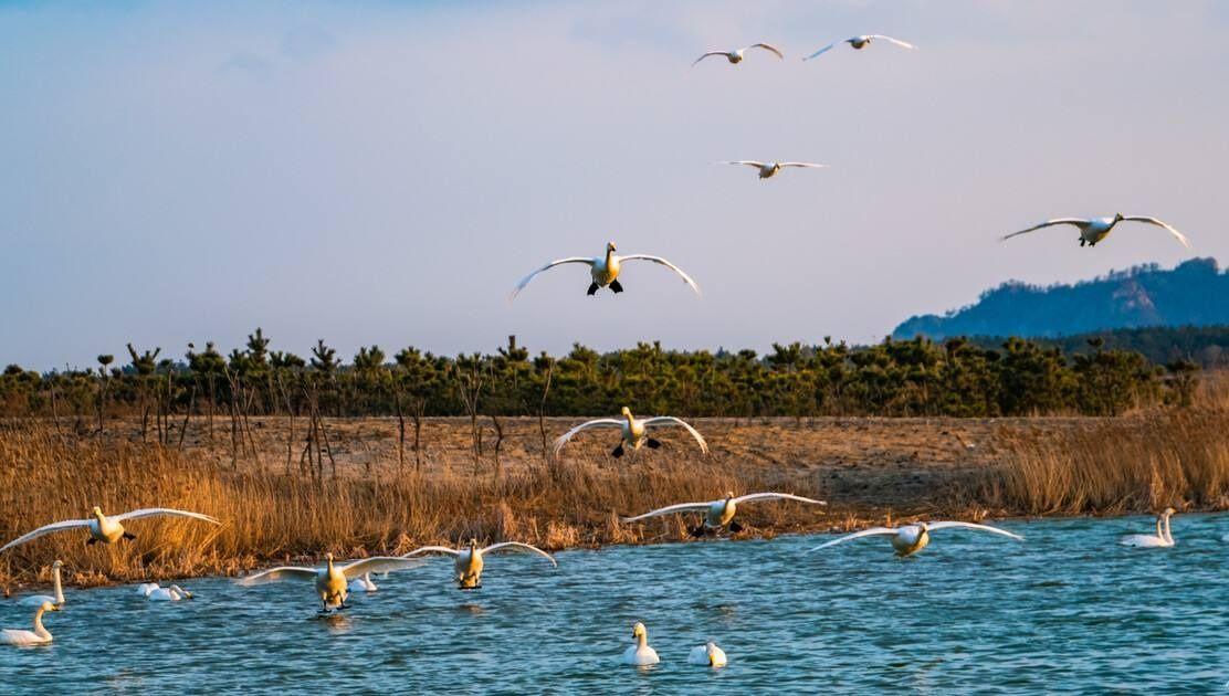 回顾:恐龙灭亡时发生了什么?墨西哥的岩石样本,揭示
